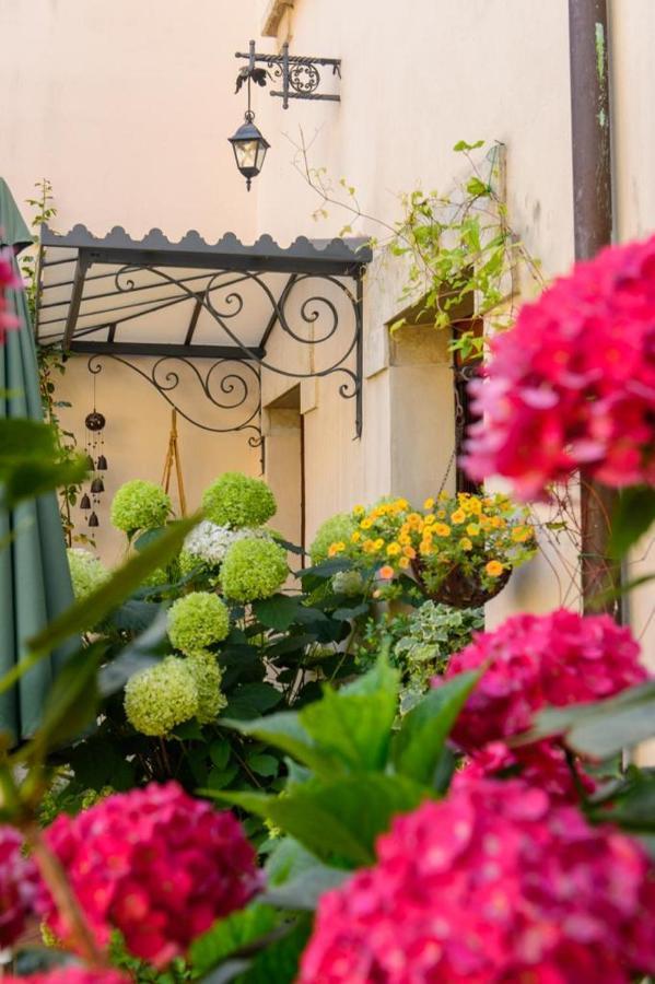 Bed and Breakfast Mimma Bed&Flavour Narni Exterior foto