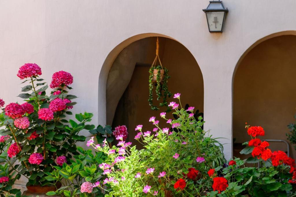 Bed and Breakfast Mimma Bed&Flavour Narni Exterior foto